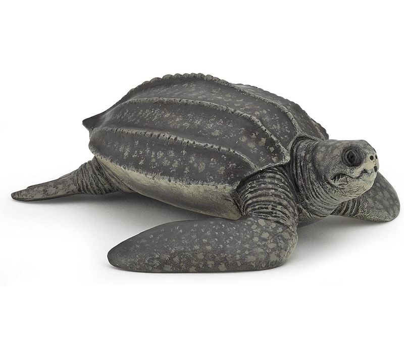 56022 Tortue Luth Figurine
