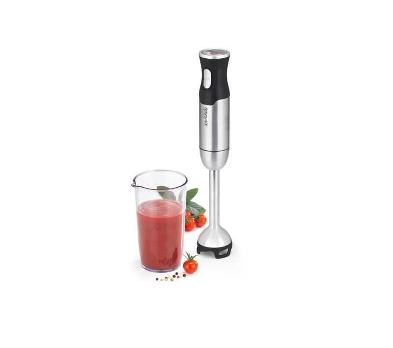 Mixeur plongeant Power1000