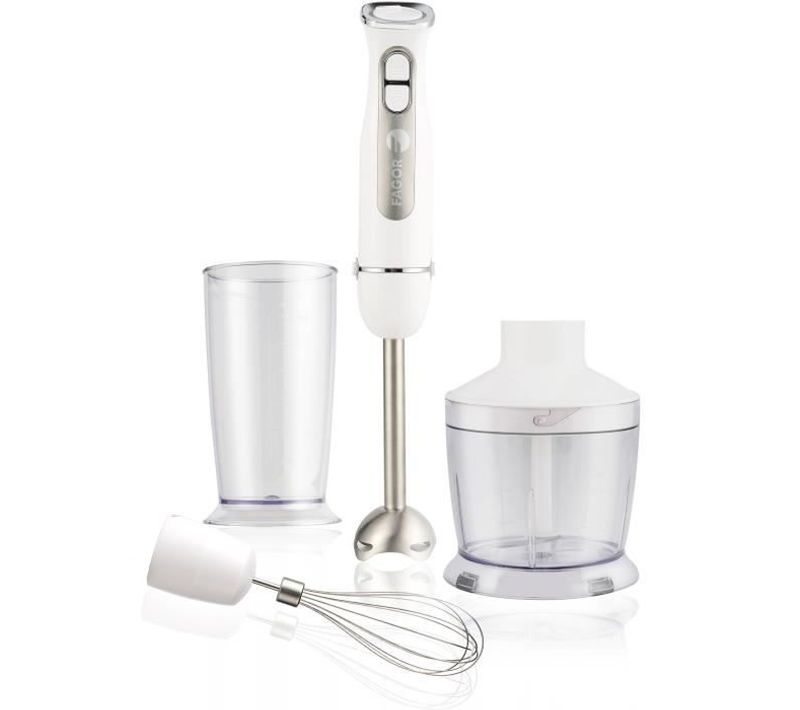 Set Mixeur Plongeant - Fg349 – 1000 W – 12 Vitesses + Pulse - Blanc