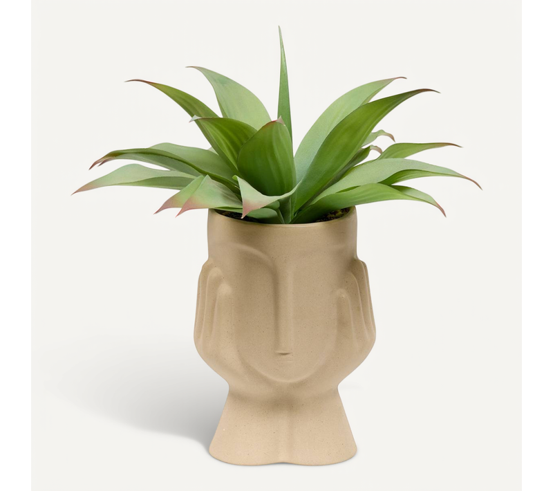 Plante Artificielle Agave Sien H48cm