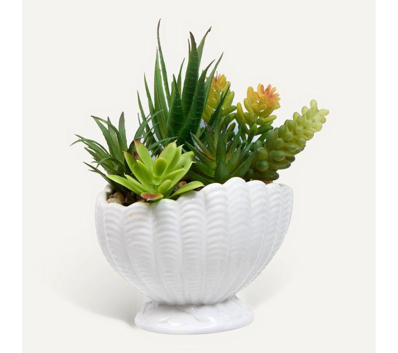 Plante Artificielle Ocea Avec Pot Coquillage H20cm Blanc