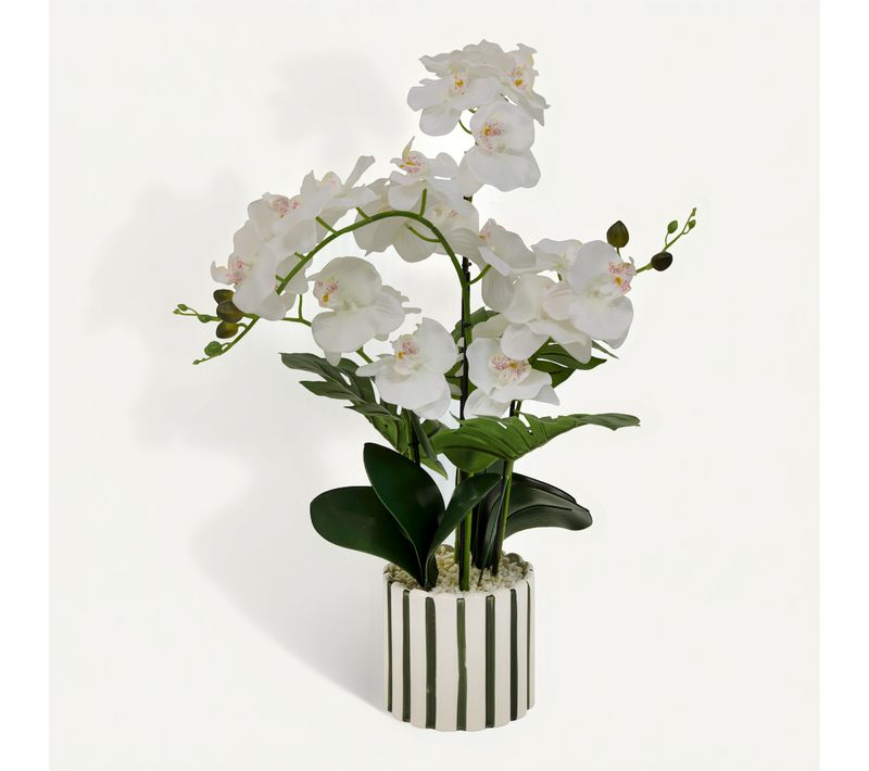 Orchidée pot rayé H. 65 cm ASIA Blanc/Vert