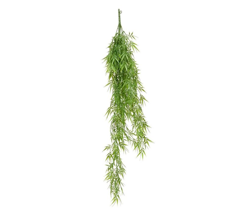 Plante Tombante Bambou "tilna" 100cm Vert
