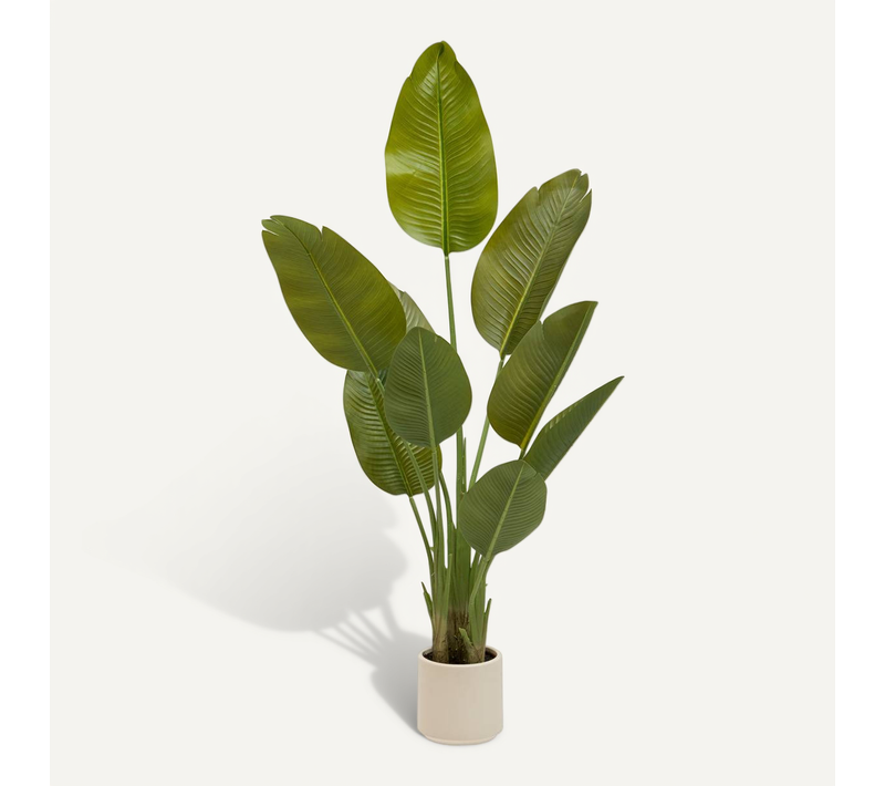 Bananier Artificielle Lora H140 Cm Avec Pot Blanc