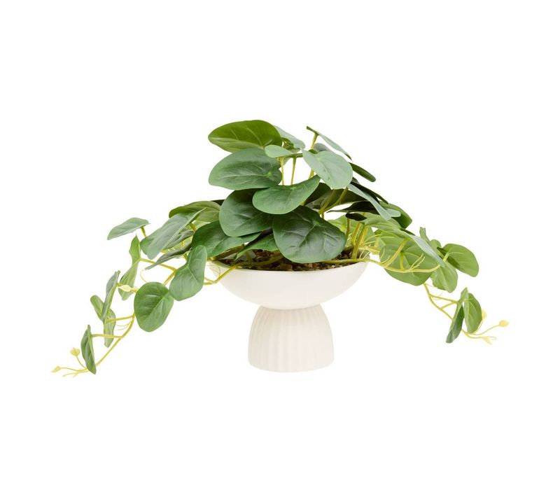 Plante Artificielle Nippo H.29cm Blanc