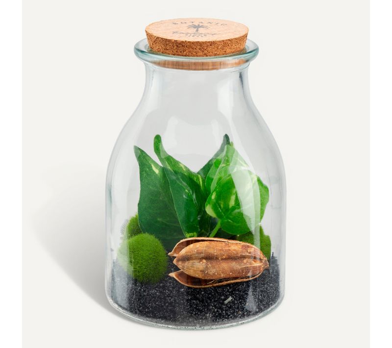 Botanique terrarium H. 19,5 cm BOTA Vert