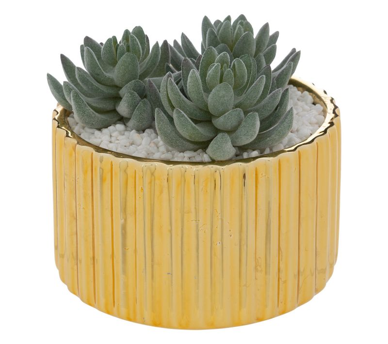 Plantes Grasses Artificielles Dans Pot En Céramique Doré Rétro Et Vintage H 14.4 Cm