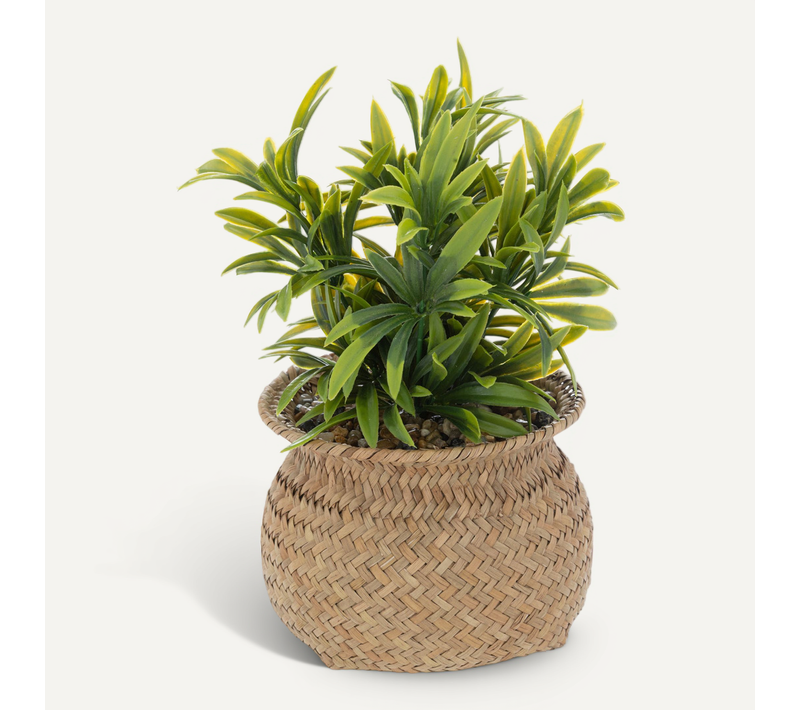 Plante Artificielle Pot En Roseau H 20 Cm