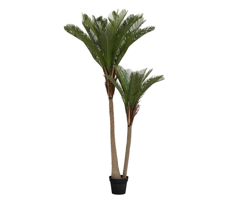 Plante Artificielle Palmier 2 Troncs H 180 Cm