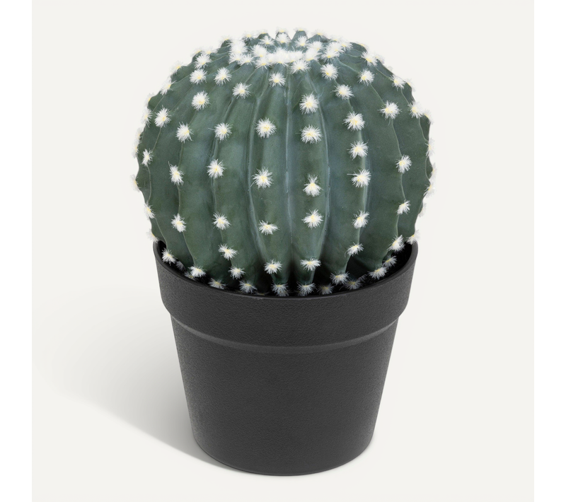 Plante Artificielle Cactus En Pot H 25 Cm