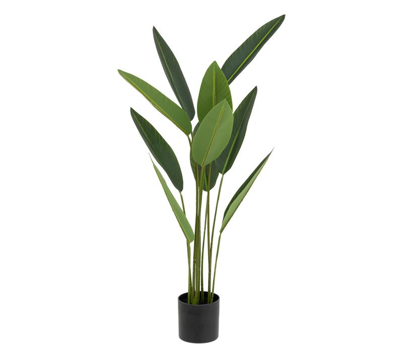 Plante Artificielle Strelitzia En Pot H 97 Cm