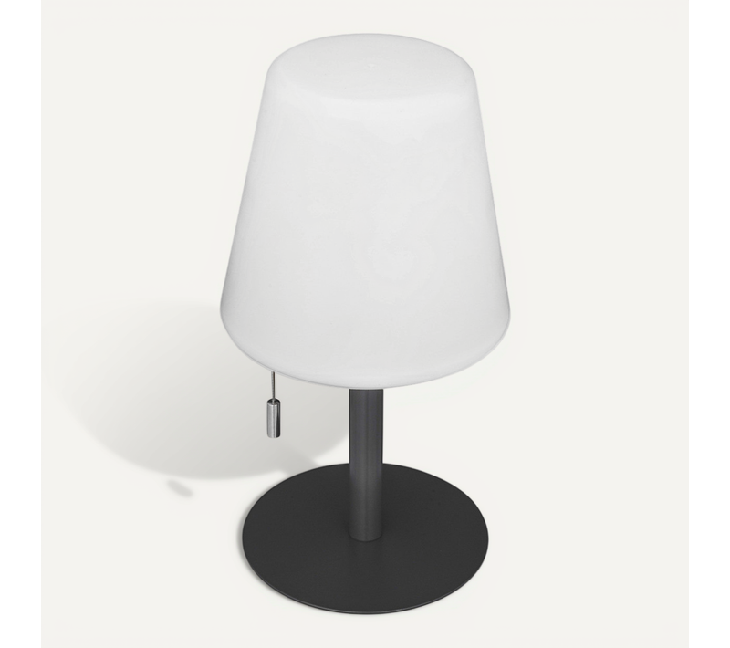 Lampe D'extérieur LED Rechargeable USB Base Acier Gris Foncé D 16 X H 30 Cm