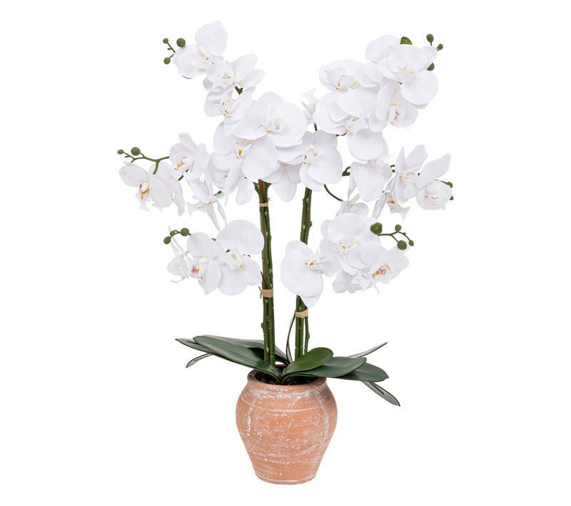 Plante Artificielle Orchidée Blanche Pot En Céramique Terracotta Aspect Naturel H 65 Cm