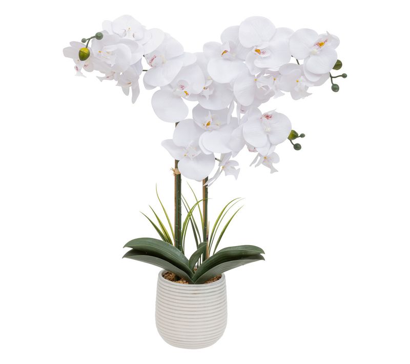 Plante Artificielle Orchidée Blanche Pot En Céramique Striée H 65 Cm