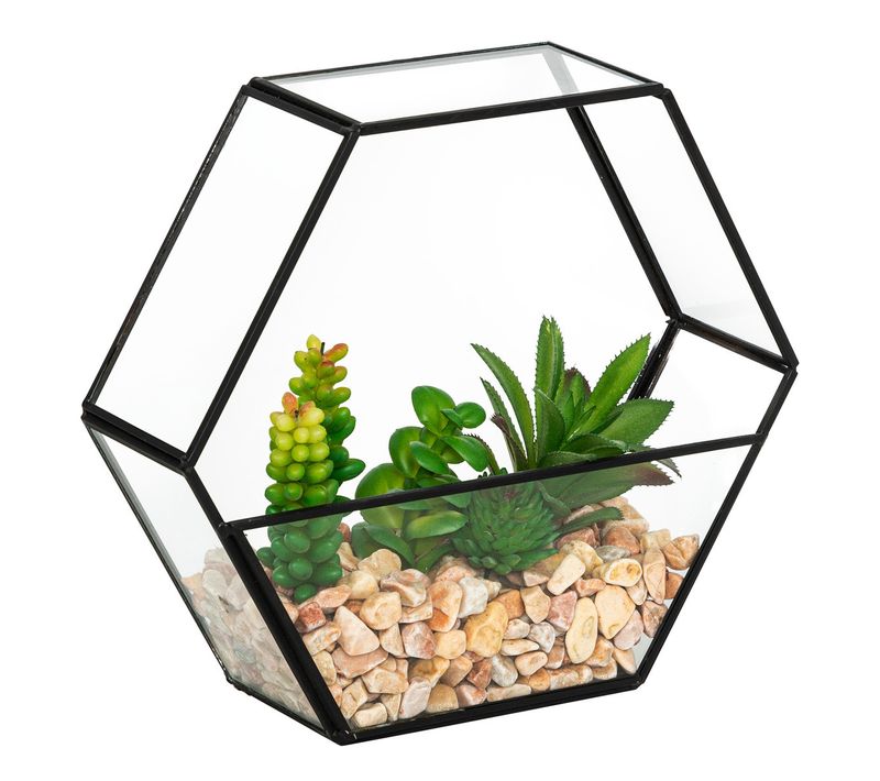 Plantes Artificielles Terrarium Hexagonal En Verre H 23 Cm
