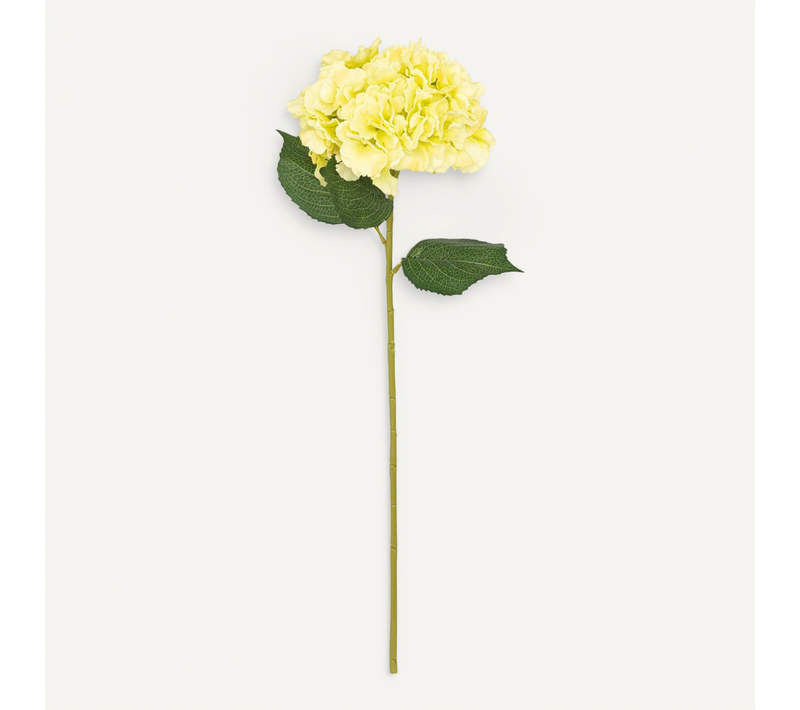 Tige De Hortensia Artificielle "serata" Vert Clair H83cm