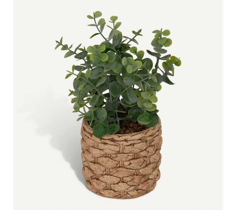 Eucalyptus Artificiel En Pot "jaye" H27cm