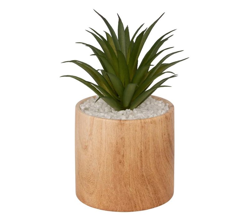 Plante Artificielle En Pot "sao" 17cm Marron