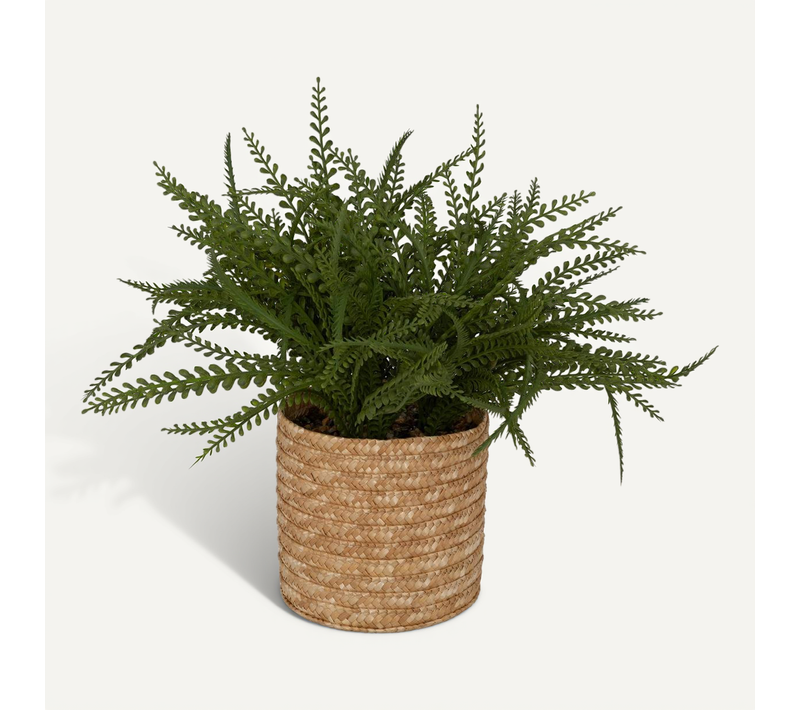Fougère Artificielle En Pot "clemy" Vert H45cm