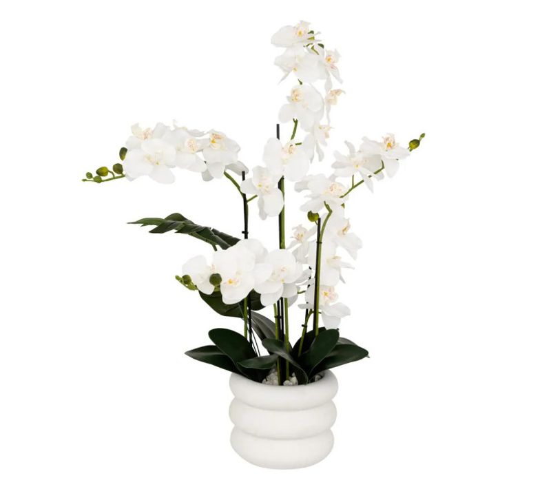 Orchidée H. 80 cm MICK Blanc
