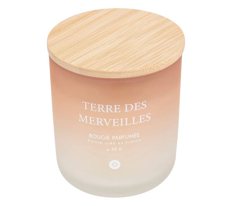 Bougie Parfumée Sana 255g Pot Verre Terre Des Merveilles