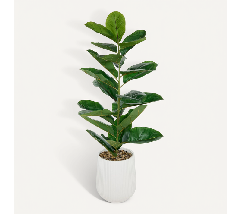 Ficus Artificiel En Pot Sky