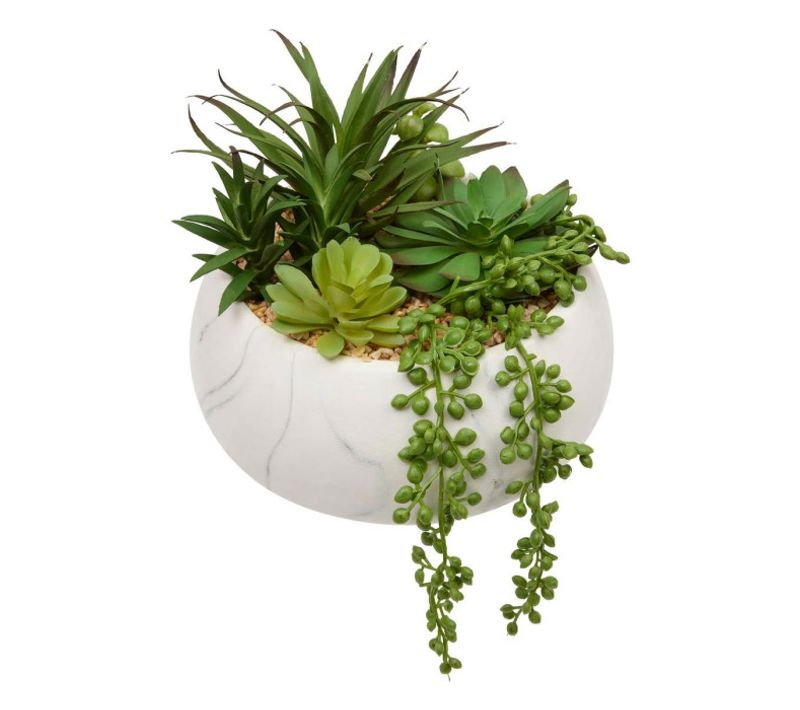 Plante Grasse Artificielle "jesty" 21cm Multicolore