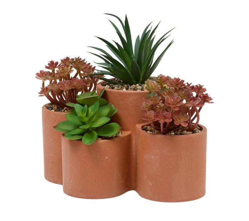 Plantes Grasses Artificielles En Pot "wonj" 22cm Terracotta