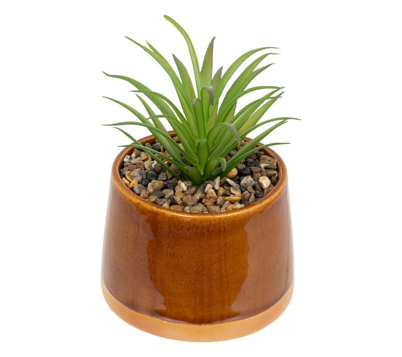 Plante Grasse Artificielle Pot En Céramique Émaillée H 12 Cm