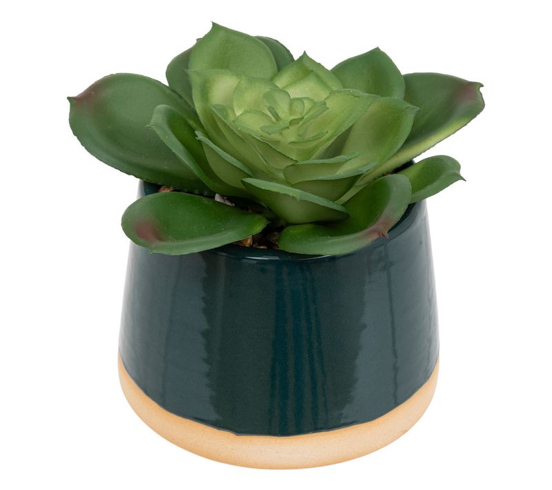 Plante Grasse Artificielle Pot En Céramique Émaillée H 12 Cm