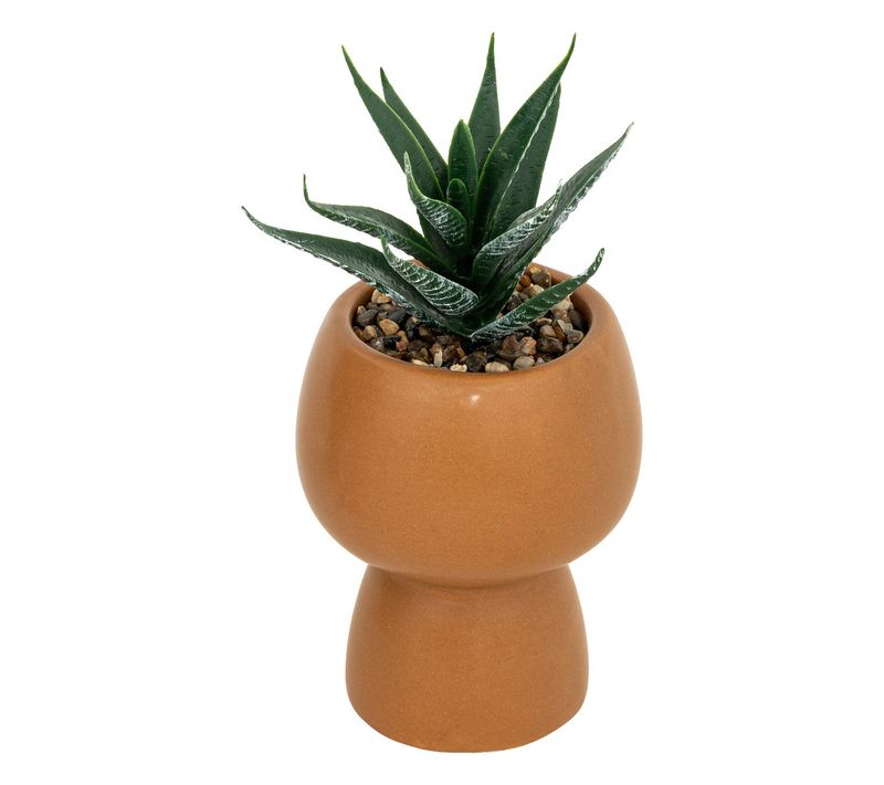 Plante Grasse Artificielle Dans Un Pot En Céramique H 17 Cm