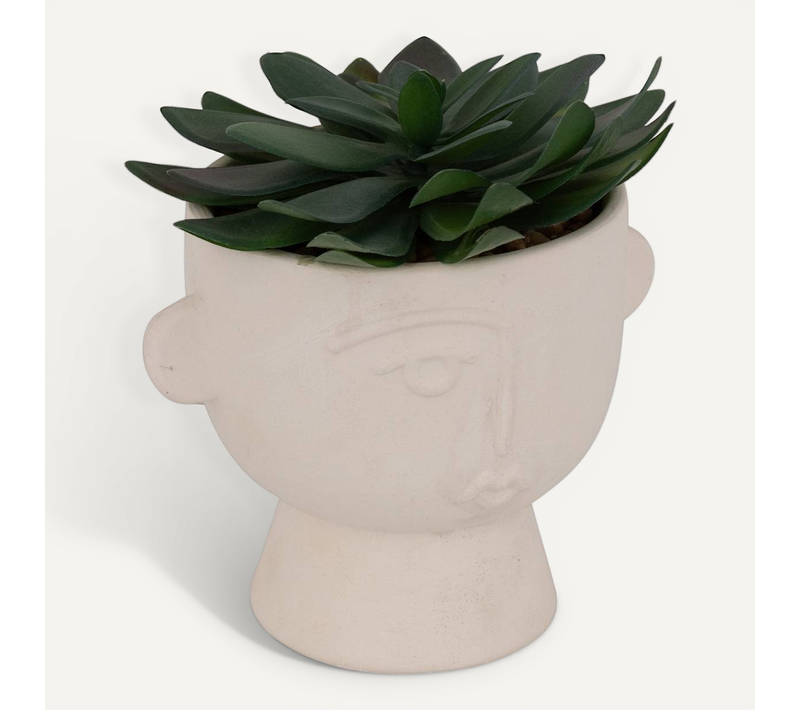 Plante Artificielle "dusty" H16cm