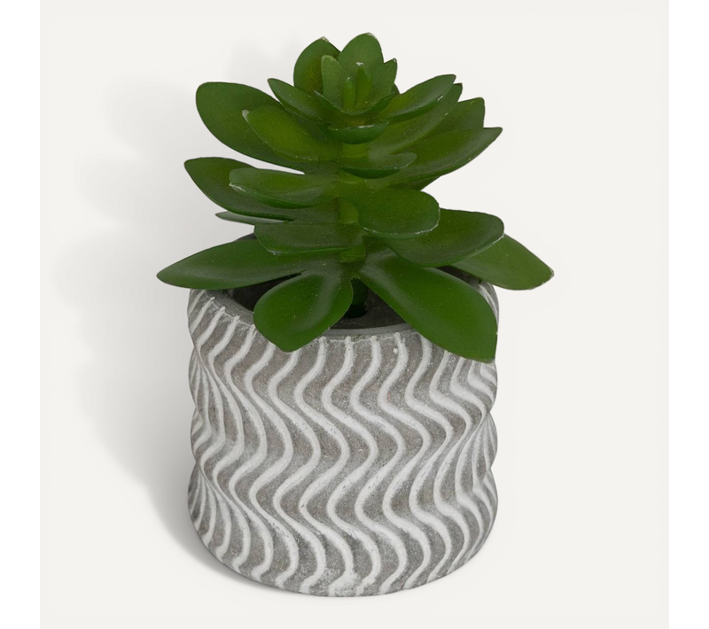 Plante Artificielle Petit Format "ubi" H7cm