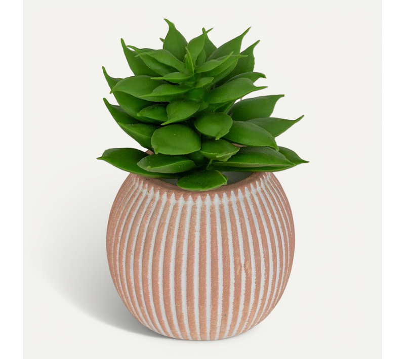 Plante Artificielle Petit Format "ubi" H7cm