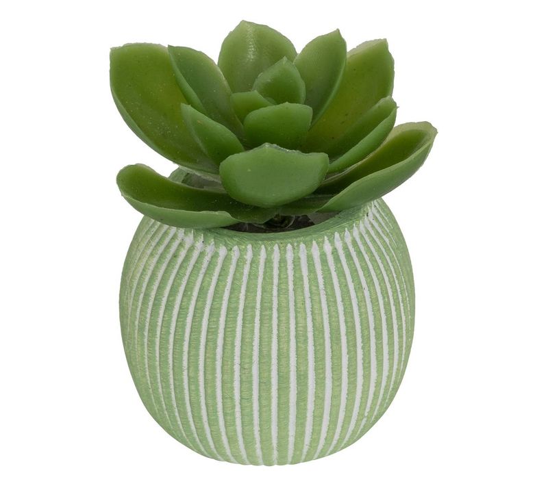 Plante Artificielle Petit Format "ubi" H7cm