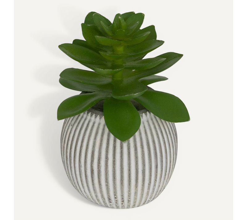 Plante Artificielle Petit Format "ubi" H7cm