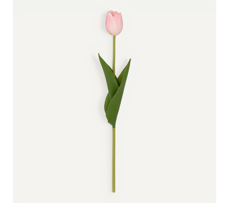 Tige De Tulipe Artificielle "martine" H48cm