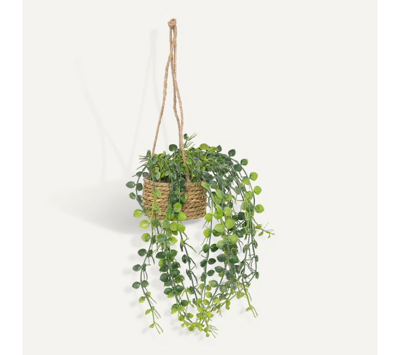 Plante Artificielle Suspendue "patri" H47cm