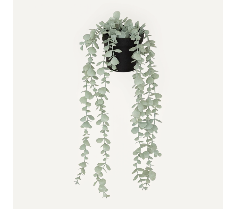 Eucalyptus Artificiel En Pot "merly" Vert H51cm