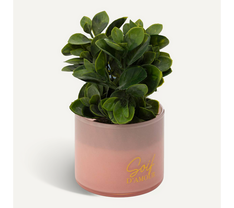 Plante Artificielle En Pot "tayli" H18cm