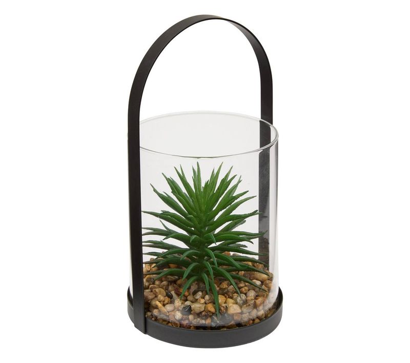 Terrarium Wilo 11x10cm