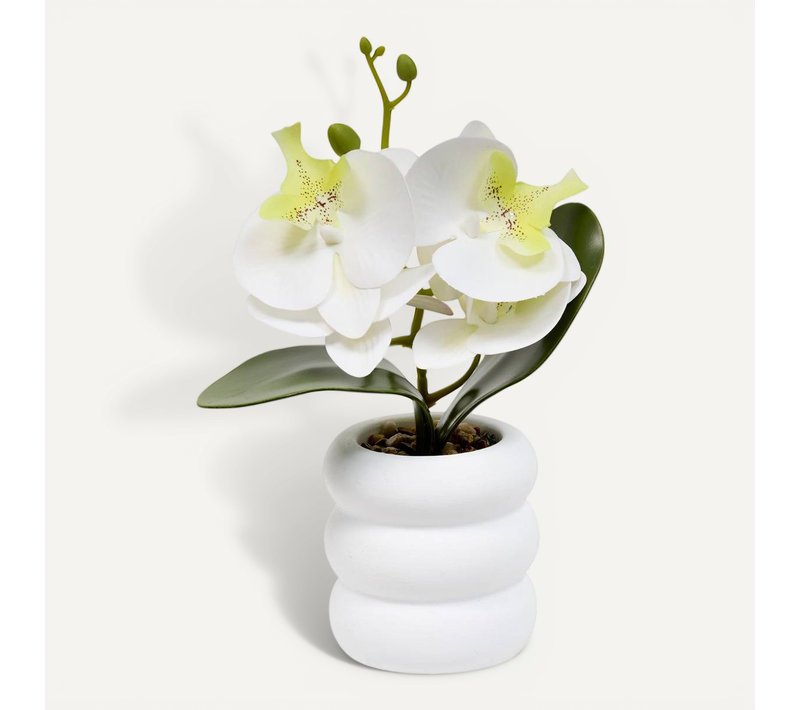 Fleur Artificielle Mick Orchidée H 23 Cm