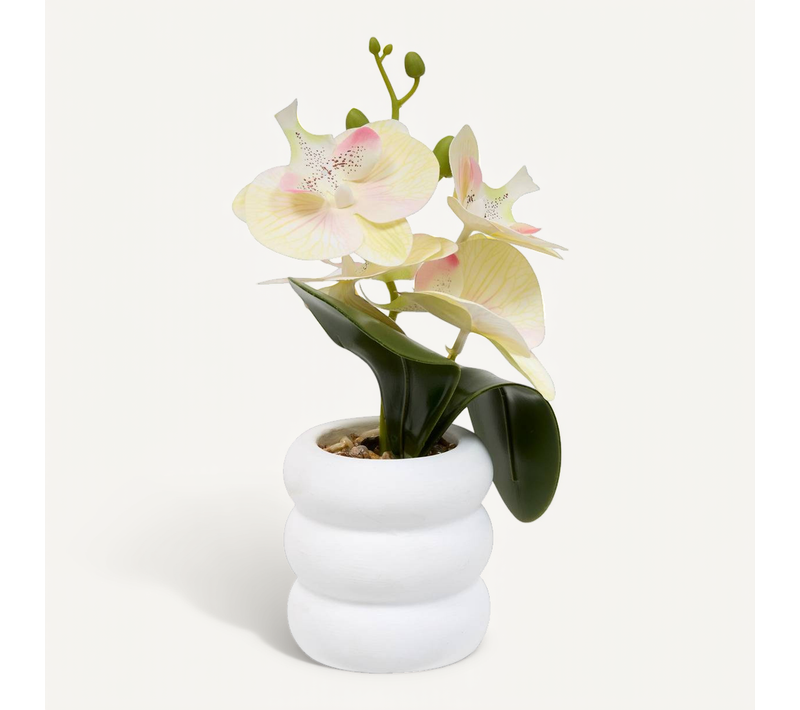 Fleur Artificielle Mick Orchidée H 23 Cm