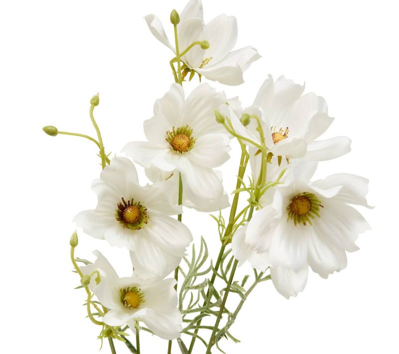 Fleur Artificielle Phoebe Coreopsis H88 Cm