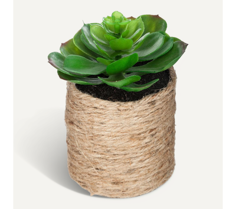 Plante Verte Artificielle Pot En Corde