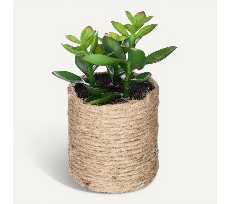 Plante Verte Artificielle Pot En Corde