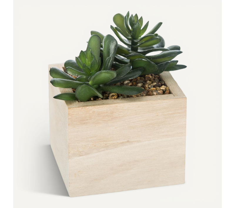 Plante Verte Artificielle Pot En Bois