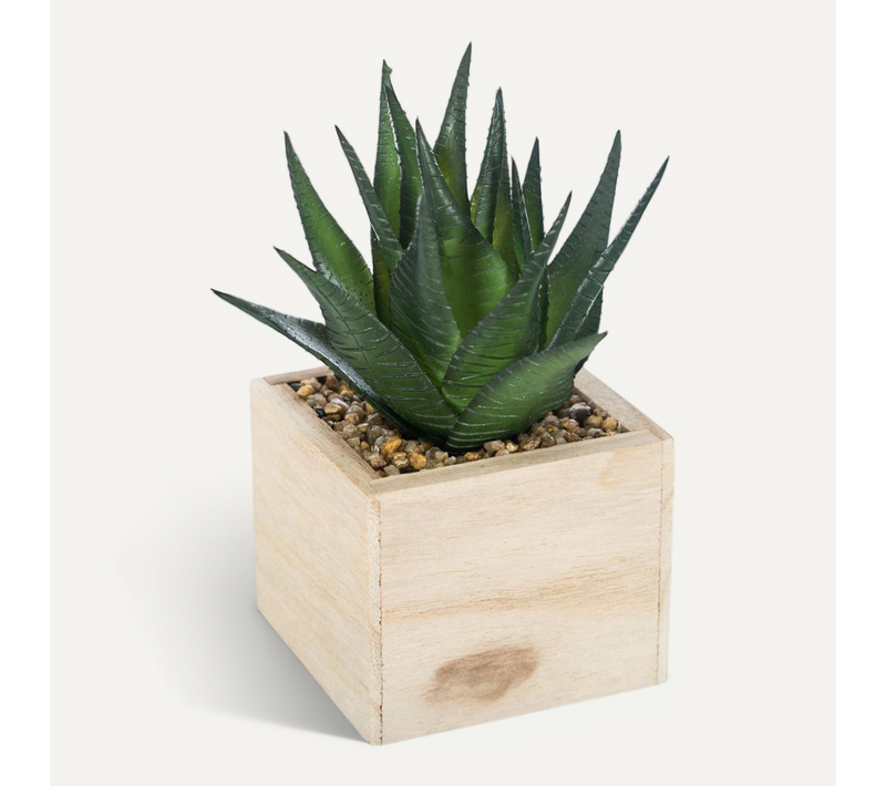 Plante Verte Artificielle Pot En Bois