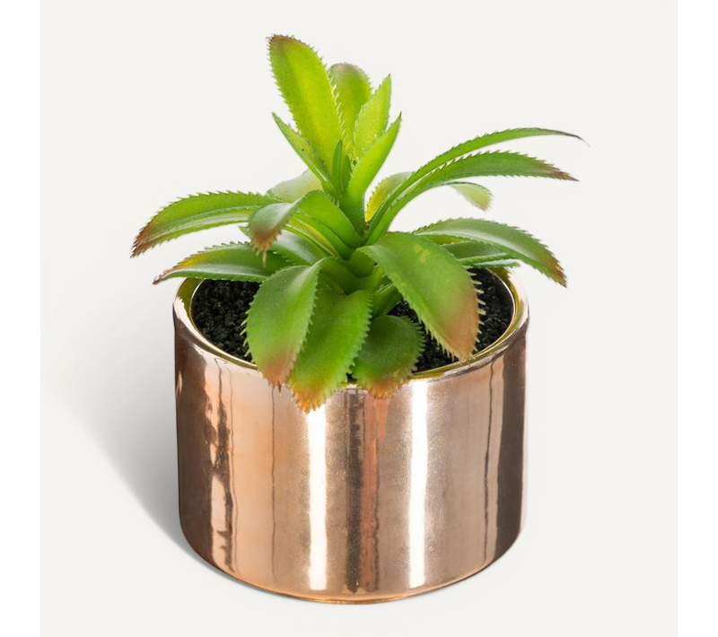 Plante Verte Artificielle Pot En Céramique H 15 Cm