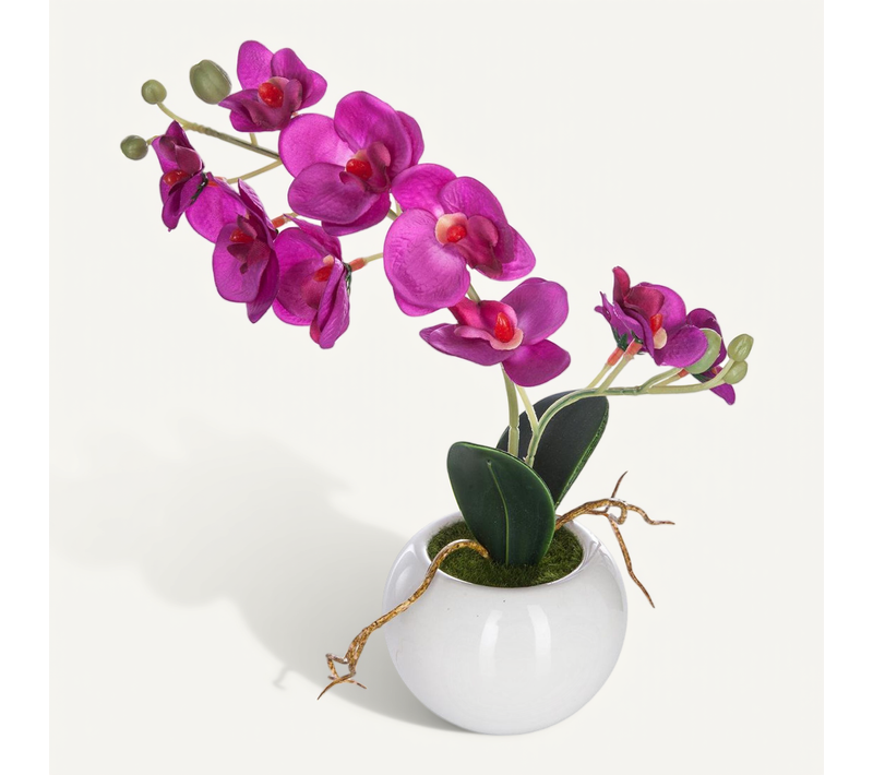 Plante Artificielle Orchidée En Pot Céramique H 25 Cm